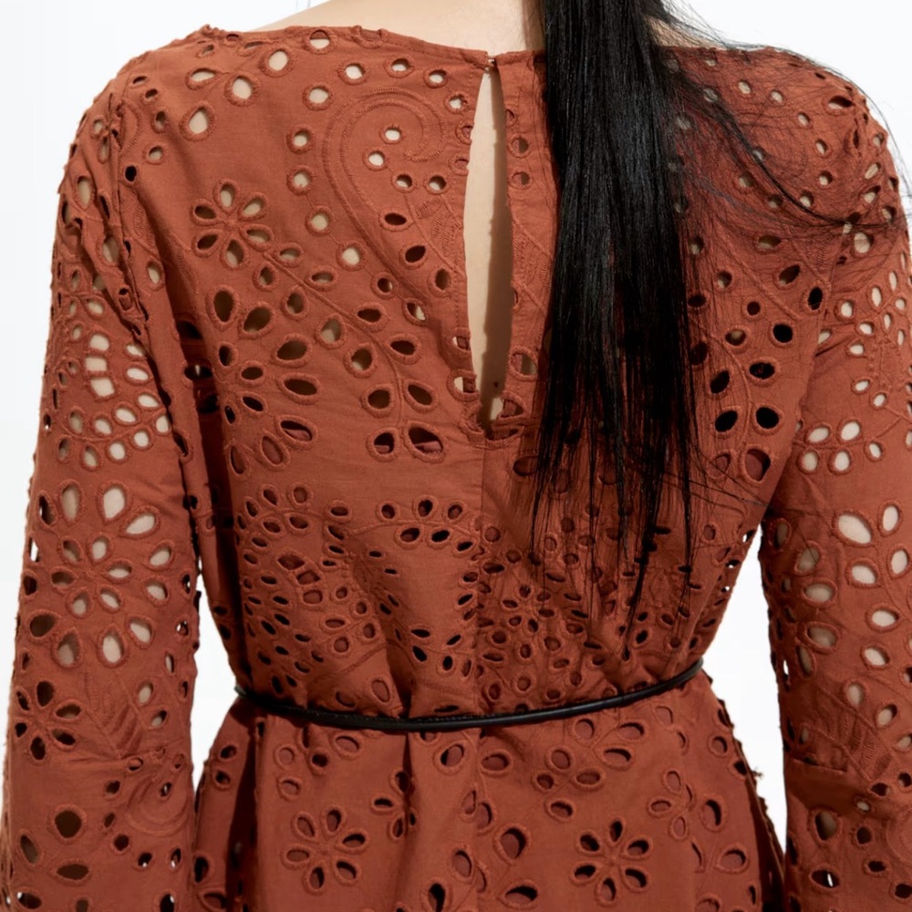 H&M Brown Long Sleeve Eyelet Dress - Picture 6 of 10